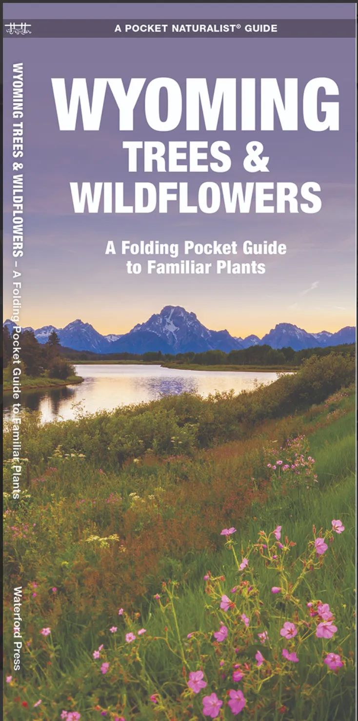 FOLDING POCKET GUIDE WYOMING TREES & WILDFLOWERS