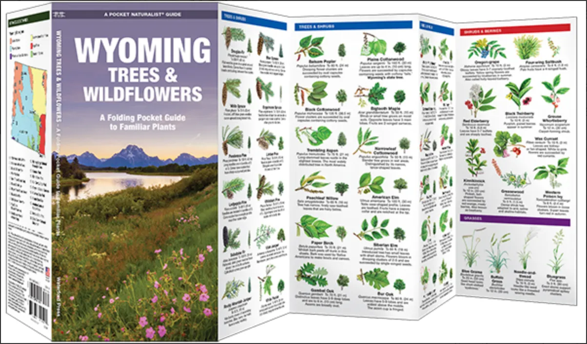 FOLDING POCKET GUIDE WYOMING TREES & WILDFLOWERS