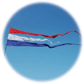 Streamer flag 4m - purple