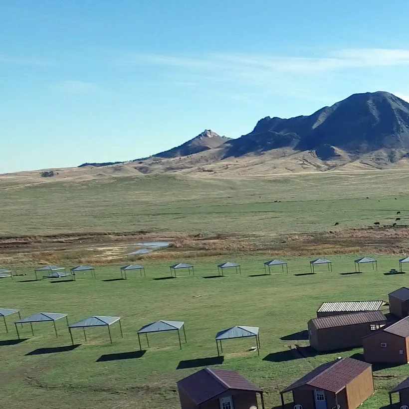 Tent and Picnic Shelters 2025